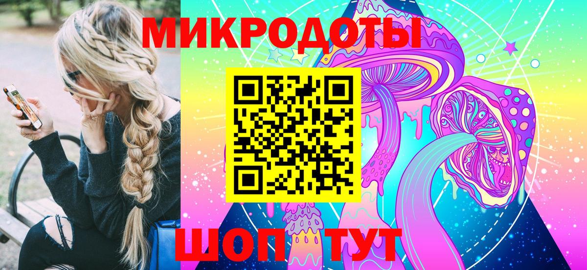 Тара  Псилоцибиновые грибы Psilocybe  Вход с VPN  Псилоцибиновые грибы Psilocybe 