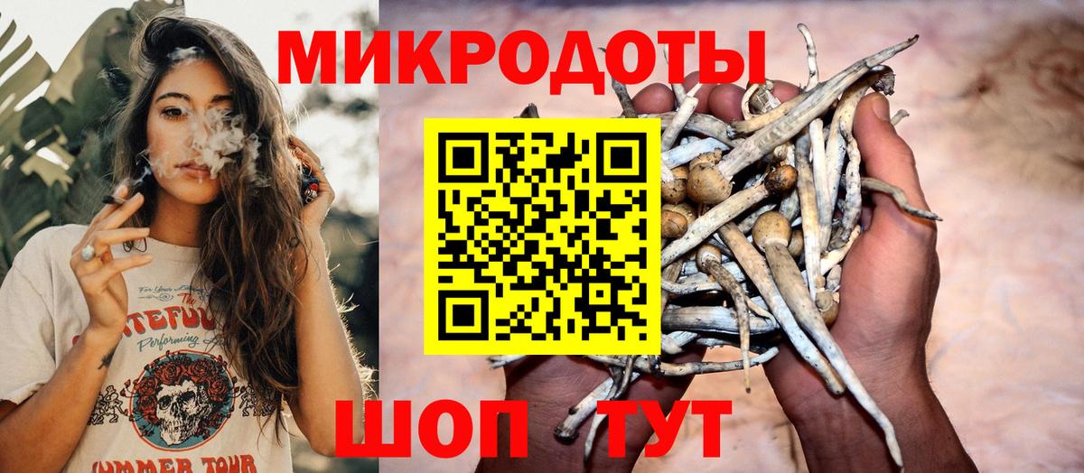 Галлюциногенные грибы мицелий Тара